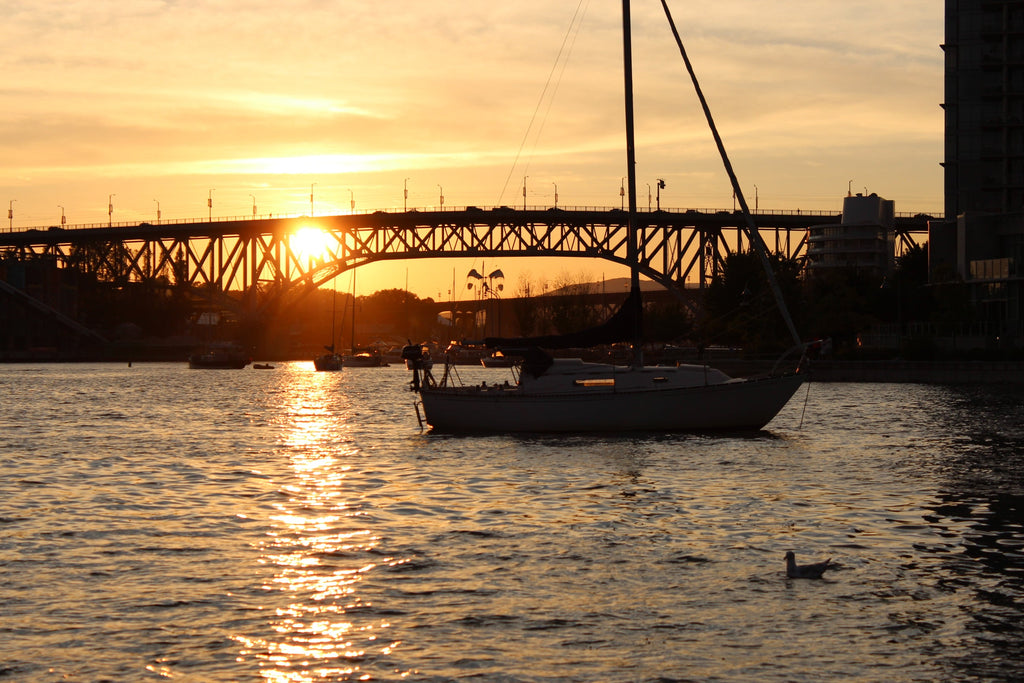 Top 10 Water Activities in Vancouver for Your 2025 Adventure